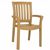 Sunshine Resin Arm Chair Brown ISP015