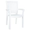 Sunshine Resin Arm Chair ISP015
