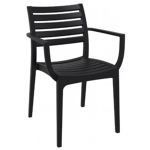 Artemis Resin Outdoor Dining Arm Chair Black ISP011