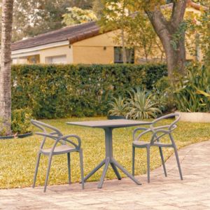 Mila Patio Dining Set with 2 Arm Chairs Dark Gray ISP0853S