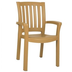Sunshine Resin Arm Chair Brown ISP015-TEA