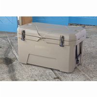 Coolers for beach & pool