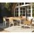 Riba Rectangle Outdoor Dining Table with Teak Top 63 inch TRI40716 #2