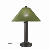 Catalina Table Lamp with Spectrum Cilantro & Bronze PLC-65647