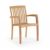 Modern Teak Patio Dining Arm Chair with Cushion CA-50174