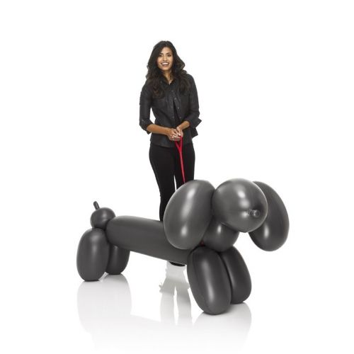 Fatboy® Hot Dog - Anthracite FB-HDG-ANT