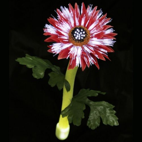 Solar Night Flowers - Daisy Solar Light SF1009