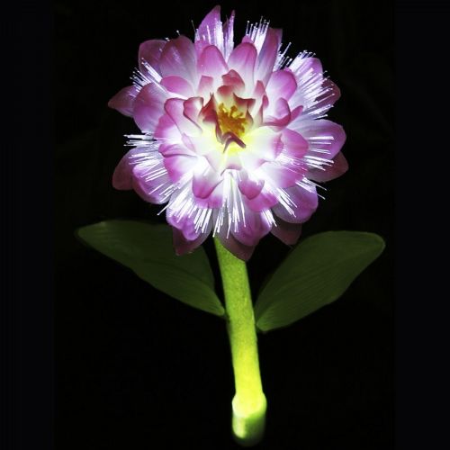 Solar Night Flowers - Peony Solar Light SF1006