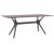 Ibiza Rectangle Outdoor Dining Table 71 inch Brown ISP865