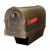 Special Lite SCS-2014-BRZ Savannah Curbside Mailbox With Paper Tube SCS-2014